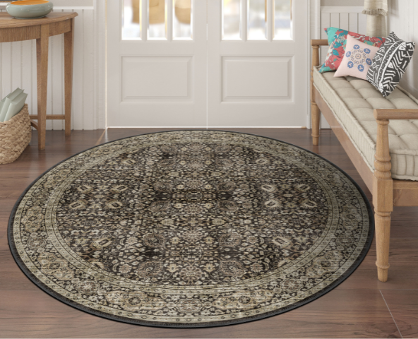 Entryway rug in entryway