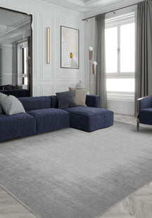 Living Room Rugs