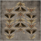 Square Rugs