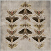 Square Rugs