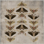Square Rugs