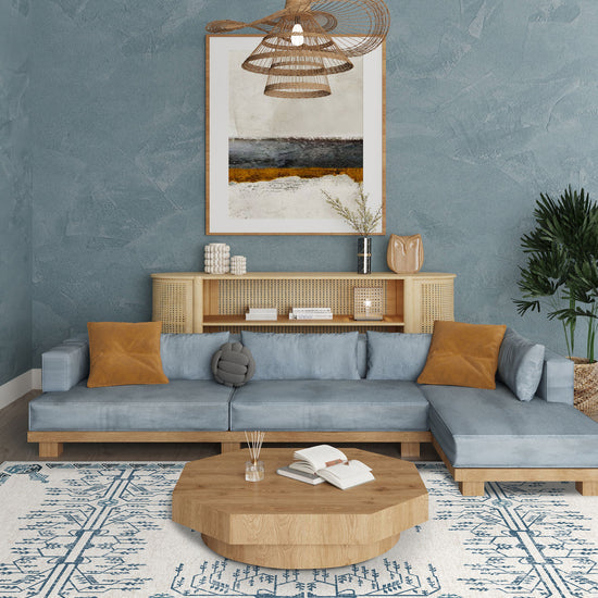 Living Room Rugs