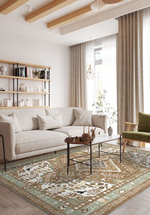 Living Room Rugs