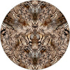 Round Rugs