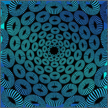 Square Rugs