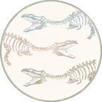 Round Rugs