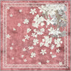 Square Rugs
