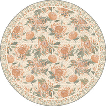Round Rugs