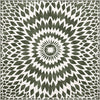 Square Rugs