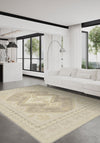 Living Room Rugs