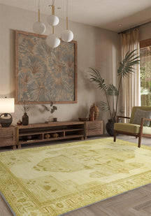 Living Room Rugs
