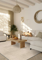 Living Room Rugs
