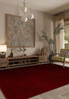 Living Room Rugs