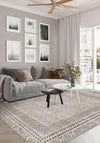 Living Room Rugs