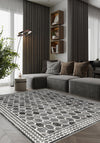 Living Room Rugs