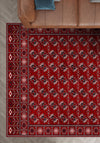 Red bokhara rug for living room.