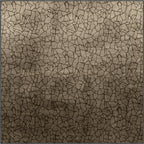 Square Rugs