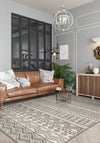 Living Room Rugs