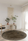 Entryway Rugs