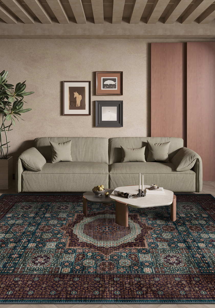 Living Room Rugs