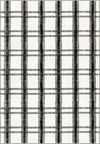 Black and white striped rug
