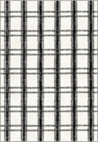 Black and white striped rug