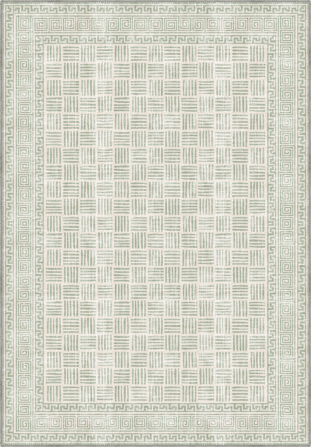 Soft green rug for living room.