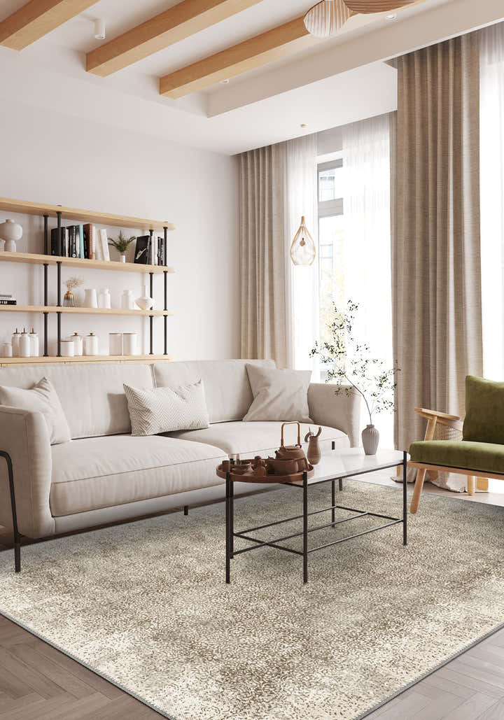 Living Room Rugs