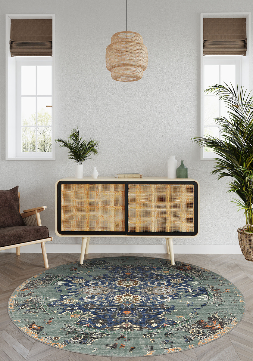 Entryway Rugs